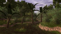 画像集#023のサムネイル/「ファイナルファンタジーXI」の拡張ディスク第5弾「アドゥリンの魔境」発表。新ジョブ「風水士」が公開に