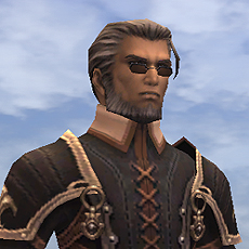 ꡼ No.011 | FFXI ɥⶭסưλٱȿƮƥʤɡܺ٤餫ˤʤäƤ֡Ȱʳɤξ