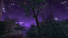 ꡼ No.016 | FFXIĥǥ5ơ֥ɥⶭ׺ǿ󡣥ץ쥤䡼οʷƤξ֥⥰ǥפʤɤξ󤬸