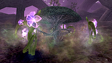 ꡼ No.024 | FFXIĥǥ5ơ֥ɥⶭ׺ǿ󡣥ץ쥤䡼οʷƤξ֥⥰ǥפʤɤξ󤬸