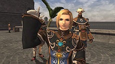 ꡼ No.013Υͥ / FFXIĥǥ5ơ֥ɥⶭסΥС󥢥åפɲä륨ꥢ󥹥ٸʤɤξ󤬸