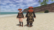 FFXI1С󥢥åפ2ĤΥ顼ȥߥå󤬡־̥ߥåХȥեɡפ˲ä롣ˤۿ