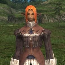 FFXI1С󥢥åפ2ĤΥ顼ȥߥå󤬡־̥ߥåХȥեɡפ˲ä롣ˤۿ