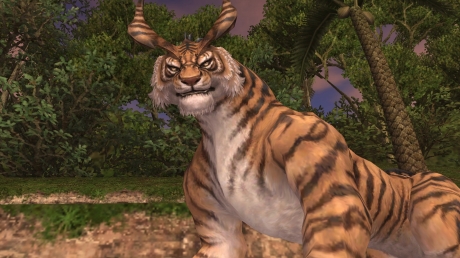 ꡼ No.011 | ֥եʥե󥿥XIסꥢ֥顦ʥܳԡפ󽷤ϴ¸Υ/ɶ򤵤˿ʲ롣218С󥢥å׾