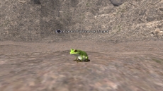 ꡼ No.022 | ֥եʥե󥿥XIסꥢ֥顦ʥܳԡפ󽷤ϴ¸Υ/ɶ򤵤˿ʲ롣218С󥢥å׾