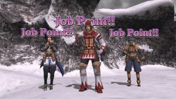 ������#003�Υ���ͥ���/��FFXI�ס�8��ΥС�����󥢥åפ��ɲä���른��֥ݥ���Ȥζ������ܤ����