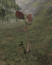 画像集#005のサムネイル/「FFXI」,12月のバージョンアップで新たな「ユニティ:ウォンテッド」が6体登場