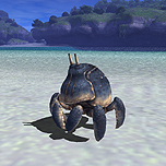 ꡼ No.015 | ֥եʥե󥿥XIפ219С󥢥å׺ǿ󡣿ʥӥ󡦥俷Ȥʤɤξܺ٤PVȶ˸