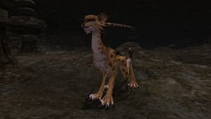 ꡼ No.014 | ֥եʥե󥿥XIץС󥢥å׼»ܡⷯȤ襤Ԥġ֥٥꡼󥹥ڥפ졤ԥꥢ«ζ