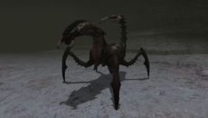 ꡼ No.015 | ֥եʥե󥿥XIץС󥢥å׼»ܡⷯȤ襤Ԥġ֥٥꡼󥹥ڥפ졤ԥꥢ«ζ