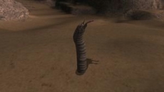 ꡼ No.018 | ֥եʥե󥿥XIץС󥢥å׼»ܡⷯȤ襤Ԥġ֥٥꡼󥹥ڥפ졤ԥꥢ«ζ