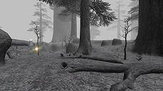 ���������꡼ No.007�Υ���ͥ������ / �֥ե����ʥ�ե��󥿥���XI�ץС�����󥢥åפ�»ܡ��ǽ����ʥꥪ�֥����ʡ��ǥ�����������פ���1�Ϥ�Хȥ륳��ƥ�ġ֥������ե��åȡפ�����