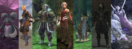 ꡼ No.008Υͥ / ֥եʥե󥿥XIפ8åץǡȤǽʥꥪ֥ʡǥ2Ϥо