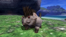 ꡼ No.011Υͥ / FFXIס916ΥС󥢥å׾󤬸ʾ̥ߥåХȥեɤ֥ɥⶭץȤ³Ԥо