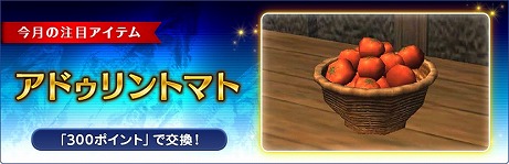 ���������꡼ No.005�Υ���ͥ������ / ��FFXI��5��ΥС�����󥢥åפ������»ܡ��������祭���ڡ����ե��������åȥ����ڡ���ʤɤ�����