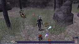 画像ギャラリー No.016のサムネイル画像 / 「ファイナルファンタジーXI」20周年の年の瀬企画。今,新たな冒険者としてヴァナ・ディールの旅を始める