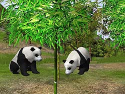 ������#010�Υ���ͥ���/�������֥���ꥫ�󥳥󥯥����ȡפȡ֥磻��ɥ饤�� �ѡ��� 2�פΥ��������������򳫻�