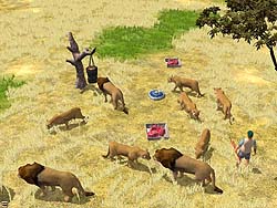 ������#014�Υ���ͥ���/�������֥���ꥫ�󥳥󥯥����ȡפȡ֥磻��ɥ饤�� �ѡ��� 2�פΥ��������������򳫻�