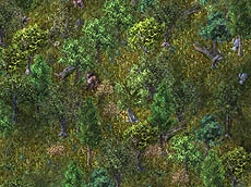 ������#001�Υ���ͥ���/��UO�ץ�������˵����и��������ʬ�ǥ����༣�����ץ��٥�ȼ»�