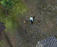 ������#002�Υ���ͥ���/��UO�ץ�������˵����и��������ʬ�ǥ����༣�����ץ��٥�ȼ»�