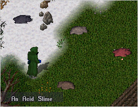 ������#001�Υ���ͥ���/�֥���ƥ��� ����饤��ס������ʤ襹�饤�࿧�����ޤ졪���ʥ��٥��