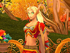 ������#001�Υ���ͥ���/�̤����Ʋ������ӽФ�����Blizzard������MMO�γ�ȯ�������ȯɽ