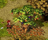 画像ギャラリー No.004のサムネイル画像 / 「テイルズウィーバー」，柿と栗を集める秋の収穫祭イベントを実施