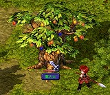 画像ギャラリー No.005のサムネイル画像 / 「テイルズウィーバー」，柿と栗を集める秋の収穫祭イベントを実施