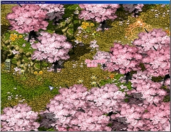 ������#021�Υ���ͥ���/��������Ʊ���ˡ������ǽ��ƤΥʥ���ʥ饤���ޥåפȤ������ܥޥåפ�Ƴ�����֥ƥ��륺�������С��ץߥ˥��󥿥ӥ塼