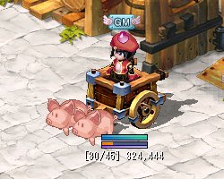 ������#023�Υ���ͥ���/�֥ƥ��륺�������С���11��26�����緿���åץǡ��ȼ»ܡ��֥�󥸥��פ�2��������䥨�ԥ����ɥ���ץ��������ޥåפۤ�¿������