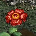 ������#030�Υ���ͥ���/�֥ƥ��륺�������С���11��26�����緿���åץǡ��ȼ»ܡ��֥�󥸥��פ�2��������䥨�ԥ����ɥ���ץ��������ޥåפۤ�¿������