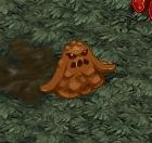 ������#031�Υ���ͥ���/�֥ƥ��륺�������С���11��26�����緿���åץǡ��ȼ»ܡ��֥�󥸥��פ�2��������䥨�ԥ����ɥ���ץ��������ޥåפۤ�¿������