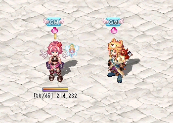 ������#008�Υ���ͥ���/�֥ƥ��륺�������С��ץϥ��Υ������ɥ������Ȥ��̾說�����Ȥ�