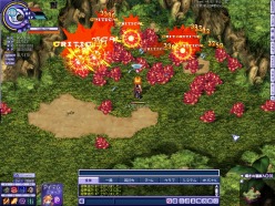 ���������꡼ No.005�Υ���ͥ������ / �֥ƥ��륺�������С��ס������ܥ���󥹥����ȥ������ɼ���