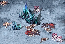 ꡼ No.009Υͥ / ֥ƥ륺Сס٥290ʾ夫ĩǤ뿷ޥåס֥٥ͥߡפƼ若ǥ󥦥٥Ȥ