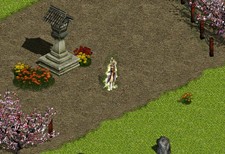 ���������꡼ No.004�Υ���ͥ������ / �ֿ���ŷ����ס�����ǯ�ײ������Ƥ������������֥�󥿥��७���ץ����ӥ���Ƴ��