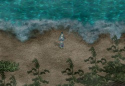 ���������꡼ No.006�Υ���ͥ������ / �ֿ���ŷ����ס�����ǯ�ײ������Ƥ������������֥�󥿥��७���ץ����ӥ���Ƴ��