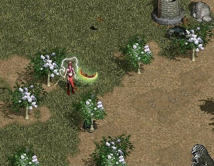 ꡼ No.003Υͥ / ४MMORPGֿŷפȥݡ륵ȡ֥塼פID硣˹碌ƥǤϳƼ省ڡ󤬳