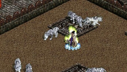 ꡼ No.004Υͥ / ֿŷסåץǡȡǯײפ3ơ붭פ623˼ƥȤǿǤ­θ