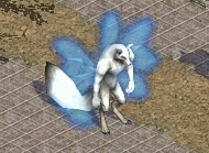 ���������꡼ No.002�Υ���ͥ������ / �ֿ���ŷ����ס����������ӥ�9��ǯ��ǰ�������٥�ȡֶ����ѽ���פ򳫻�