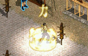 ���������꡼ No.004�Υ���ͥ������ / �ֿ���ŷ������С�����פ��ò����������ʥ��饹�ַ����פ����