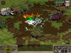 ꡼ No.009 | ֵץåץǡȡֻͶýȸƤФ줿ʪ1124˼»