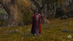 画像集#012のサムネイル/「Warhammer Online」初のイベント「魔女の夜」で仮面を手に入れよう