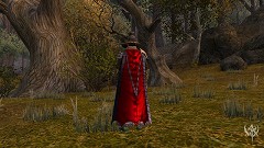 画像集#013のサムネイル/「Warhammer Online」初のイベント「魔女の夜」で仮面を手に入れよう