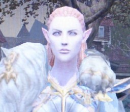 ꡼ No.007 | G2009Ϥδ餬θѹˡڹ˥塼󤵤줿Warhammer OnlineפG2009ǥå