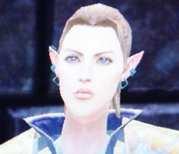 ꡼ No.009 | G2009Ϥδ餬θѹˡڹ˥塼󤵤줿Warhammer OnlineפG2009ǥå