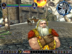 ������#001�Υ���ͥ���/��LotRO�ס�Low-reso���饤����ȤΥ���������ɤ򳫻�