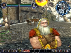 ������#002�Υ���ͥ���/��LotRO�ס�Low-reso���饤����ȤΥ���������ɤ򳫻�