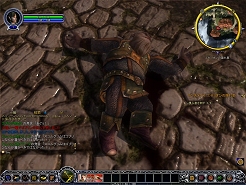 ������#005�Υ���ͥ���/��LotRO�ס�Low-reso���饤����ȤΥ���������ɤ򳫻�