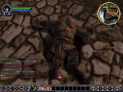 ������#006�Υ���ͥ���/��LotRO�ס�Low-reso���饤����ȤΥ���������ɤ򳫻�